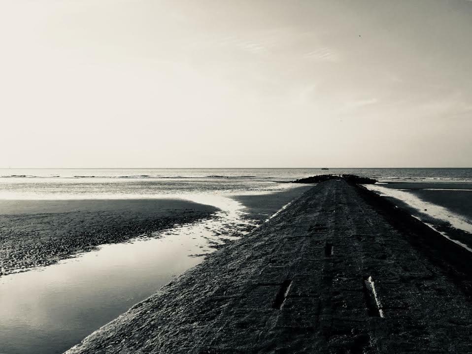Meeuwenbank Nieuwpoort Exterior foto